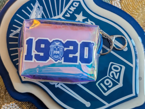 1920 Iridescent Change Pouch